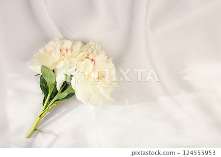 Bouquet of delicate flowers peonies, roses on a sunny table for a gift to loved ones. Spring still life and banner for the screen, elegant beauty concept, template for design. Abstract flower Bouquet of delicate flowers peonies, roses on a sunny table for a gift to loved ones. Spring still life and banner for the screen, elegant beauty concept, template for design. Abstract flower 124555953