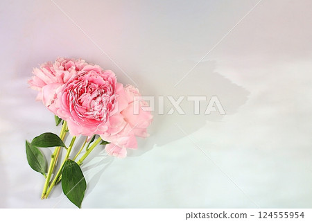 Bouquet of delicate flowers peonies, roses on a sunny table for a gift to loved ones. Spring still life and banner for the screen, elegant beauty concept, template for design. Abstract flower Bouquet of delicate flowers peonies, roses on a sunny table for a gift to loved ones. Spring still life and banner for the screen, elegant beauty concept, template for design. Abstract flower 124555954