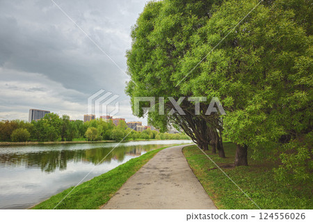 Alley near green willows by the pond Alley near green willows by the pond 124556026
