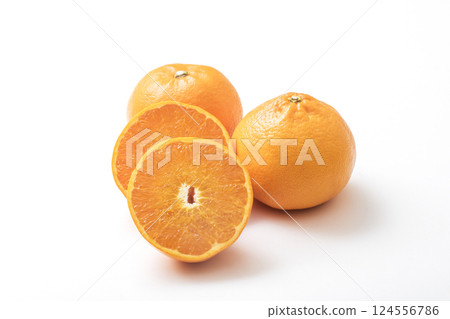 Setoka mikan, also known as the fatty tuna of mandarin oranges; fresh setoka; freshly picked setoka; a legendary citrus fruit; citrus fruits Setoka mikan, also known as the fatty tuna of mandarin oranges; fresh setoka; freshly picked setoka; a legendary citrus fruit; citrus fruits 124556786