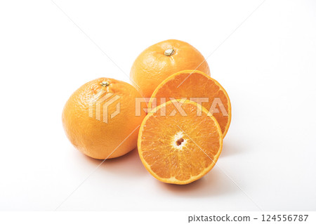 Setoka mikan, also known as the fatty tuna of mandarin oranges; fresh setoka; freshly picked setoka; a legendary citrus fruit; citrus fruits 124556787