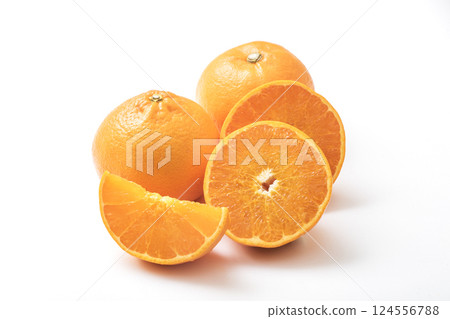Setoka mikan, also known as the fatty tuna of mandarin oranges; fresh setoka; freshly picked setoka; a legendary citrus fruit; citrus fruits 124556788