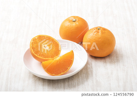 瀨戶岡橘子,也被稱為橘子中的肥金槍魚;新鮮的瀨戶香;新鮮採摘的瀨戶果;一種傳奇的柑橘類水果;柑橘類水果 瀨戶岡橘子,也被稱為橘子中的肥金槍魚;新鮮的瀨戶香;新鮮採摘的瀨戶果;一種傳奇的柑橘類水果;柑橘類水果 124556790