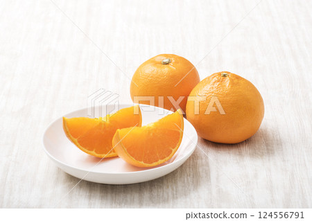 瀨戶岡橘子，也被稱為橘子中的肥金槍魚；新鮮的瀨戶香；新鮮採摘的瀨戶果；一種傳奇的柑橘類水果；柑橘類水果 124556791
