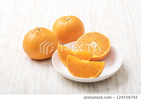 Setoka mikan, also known as the fatty tuna of mandarin oranges; fresh setoka; freshly picked setoka; a legendary citrus fruit; citrus fruits 124556793
