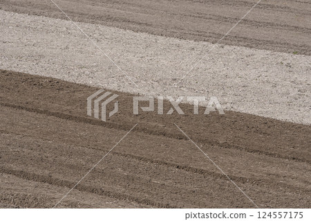 Contrast between dry and moist, water retention and drainage, three-color soil, cultivated soil, leveled fields, soil improvement, image material 124557175