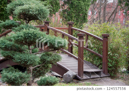 A tranquil scene in a Japanese-style garden, featuring a wooden bridge, artistically trimmed bushes amidst a natural background. The serene ambiance showcases harmony and design in a natural setting. A tranquil scene in a Japanese-style garden, featuring a wooden bridge, artistically trimmed bushes amidst a natural background. The serene ambiance showcases harmony and design in a natural setting. 124557556