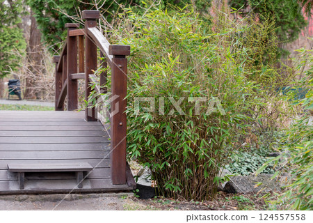 A charming wooden footbridge nestled amidst lush green bamboo and garden vegetation, tranquil outdoor retreat. Perfect for designs focused on nature, tranquility, and traditional garden aesthetics. A charming wooden footbridge nestled amidst lush green bamboo and garden vegetation, tranquil outdoor retreat. Perfect for designs focused on nature, tranquility, and traditional garden aesthetics. 124557558