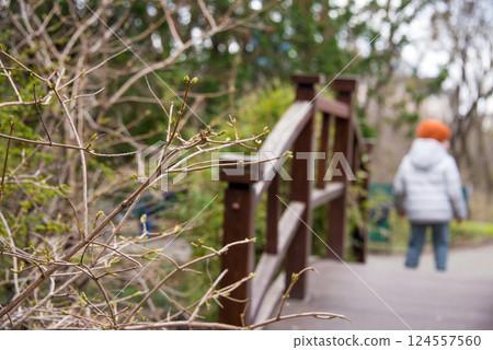 A young child dressed in warm clothing crosses a wooden bridge surrounded by lush greenery. The photograph captures a peaceful and natural outdoor setting perfect for family and exploration themes. A young child dressed in warm clothing crosses a wooden bridge surrounded by lush greenery. The photograph captures a peaceful and natural outdoor setting perfect for family and exploration themes. 124557560