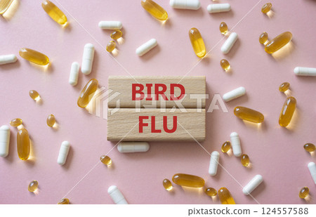 Bird Flu symbol. Concept word Bird Flu on wooden blocks. Beautiful pink background with pills. Medicine and Bird Flu concept. Copy space Bird Flu symbol. Concept word Bird Flu on wooden blocks. Beautiful pink background with pills. Medicine and Bird Flu concept. Copy space 124557588