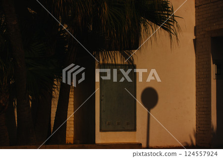 Silhouette of a palm tree and foliage in shadow on yellow building wall. Abstract natural background. Tropical nature. Shadow of a tree, street sign. Silhouette of a palm tree and foliage in shadow on yellow building wall. Abstract natural background. Tropical nature. Shadow of a tree, street sign. 124557924