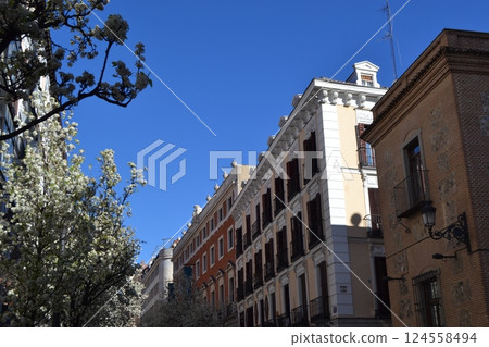 Springtime street scene in Madrid with historic architecture and blossoming trees Springtime street scene in Madrid with historic architecture and blossoming trees 124558494