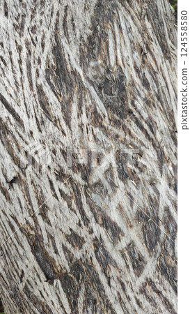 Detailed macro shot of a tree bark showcasing rough, textured patterns and natural grooves in various shades of brown and gray. The close-up reveals the organic complexity and abstract beauty of tree 124558580