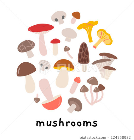 Edible mushrooms in circle shape. Ideal for healthy eating, natural food and organic product concepts. Trendy modern vector illustration isolated on white, hand drawn, flat design 124558982