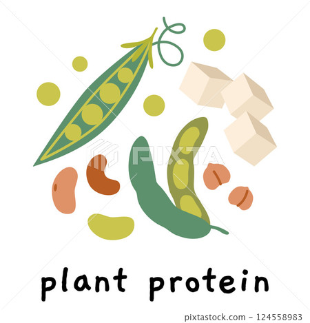 Plant based protein sources like Fresh green Soybean pod, Edamame, peas, beans, Tofu and chickpeas. Modern vector illustration isolated on white background, hand drawn, flat design Plant based protein sources like Fresh green Soybean pod, Edamame, peas, beans, Tofu and chickpeas. Modern vector illustration isolated on white background, hand drawn, flat design 124558983