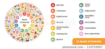 13 Main vitamins, their titles and food sources in circle shape. Infographic for nutrition, wellness and healthcare concepts. Trendy modern vector illustration isolated on white, hand drawn, flat 124558987