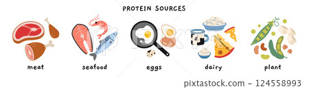 Different sources of protein, including meat, seafood, eggs, dairy, and plant based. Health and nutrition concepts. Trendy modern vector illustration isolated on white, hand drawn, flat design Different sources of protein, including meat, seafood, eggs, dairy, and plant based. Health and nutrition concepts. Trendy modern vector illustration isolated on white, hand drawn, flat design 124558993