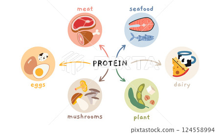 Different sources of protein infographics, including meat, seafood, eggs, dairy, mushrooms and plant based. Trendy modern vector illustration isolated on white, hand drawn, flat design Different sources of protein infographics, including meat, seafood, eggs, dairy, mushrooms and plant based. Trendy modern vector illustration isolated on white, hand drawn, flat design 124558994