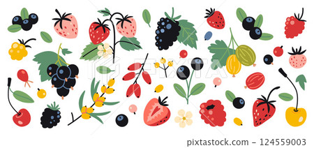 Set of berries like raspberry, strawberry, gooseberry, cherry, cloudberry, currant, blueberry and barberry. Trendy modern vector illustration isolated on white background, hand drawn, flat design 124559003
