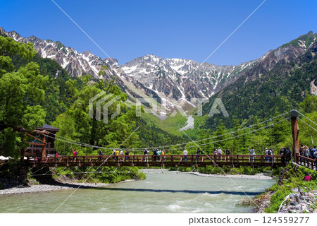 【清爽的上高地】河童橋週邊的新綠與穗高山脈的壯麗景色 124559277