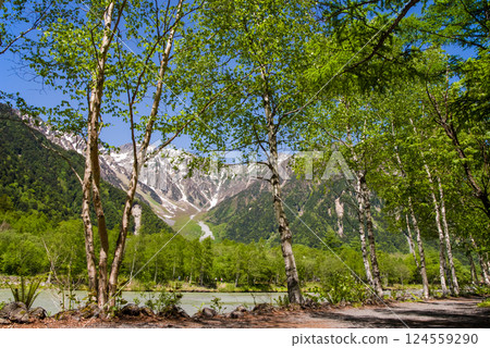 【清爽的上高地】梓川沿岸的新綠色與穗高山脈的壯麗景色 124559290