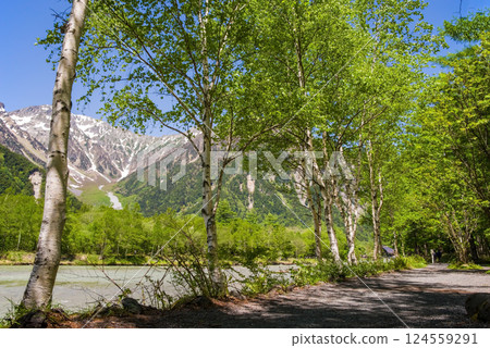 [Refreshing Kamikochi] Fresh greenery along the Azusa River and the magnificent view of the Hotaka mountain range 124559291