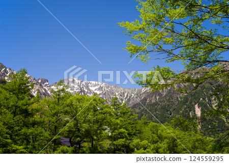 [Refreshing Kamikochi] Fresh greenery along the Azusa River and the magnificent view of the Hotaka mountain range 124559295