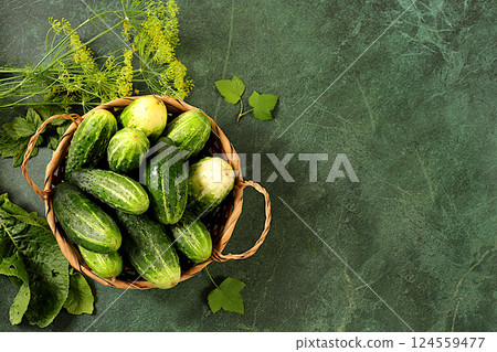 Fresh cucumbers in basket on concrete table, village harvest, homemade pickling recipe, cucumbers and pickling ingredients, home canning concept, healthy and natural food. 124559477
