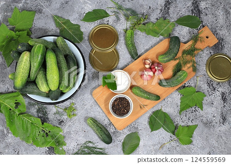 Cucumbers and ingredients for pickling them, home canning concept, Cucumbers, dill, garlic, currant leaves, cherries, horseradish, oak and basil, rustic pickling recipe, healthy and natural food. Cucumbers and ingredients for pickling them, home canning concept, Cucumbers, dill, garlic, currant leaves, cherries, horseradish, oak and basil, rustic pickling recipe, healthy and natural food. 124559569