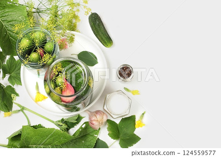 Cucumbers and ingredients for pickling them, the concept of home canning, healthy and natural food. Cucumbers, dill, garlic, currant leaves, cherries, horseradish, oak and basil, rustic pickle recipe, Cucumbers and ingredients for pickling them, the concept of home canning, healthy and natural food. Cucumbers, dill, garlic, currant leaves, cherries, horseradish, oak and basil, rustic pickle recipe, 124559577