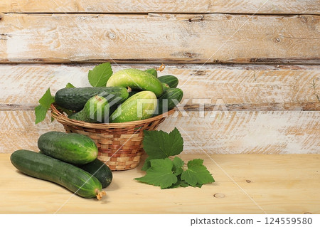 Cucumbers and ingredients for pickling them, the concept of healthy and natural food. Cooking pickles at home. Cucumbers, dill, garlic, mountain ash, currant leaves, cherries, horseradish and basil. Cucumbers and ingredients for pickling them, the concept of healthy and natural food. Cooking pickles at home. Cucumbers, dill, garlic, mountain ash, currant leaves, cherries, horseradish and basil. 124559580
