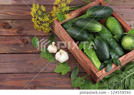 Cucumbers and ingredients for pickling them, the concept of healthy and natural food. Cooking pickles at home. Cucumbers, dill, garlic, mountain ash, currant leaves, cherries, horseradish and basil. 124559593