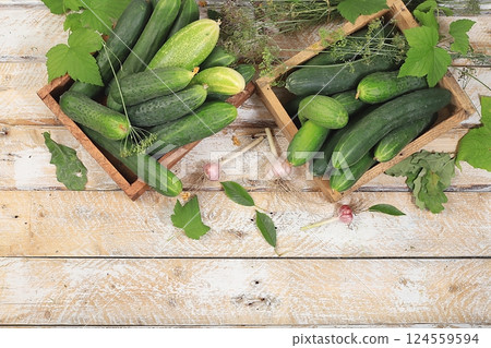 Village harvest concept.Fresh crispy cucumbers with currant, cherry and dill leaves for pickling in boxes on an old wooden table, healthy and organic food, top view, selective focus 124559594