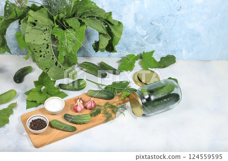 Cucumbers and ingredients for pickling them, home canning concept, Cucumbers, dill, garlic, currant leaves, cherries, horseradish, oak and basil, rustic pickling recipe, healthy and natural food. 124559595
