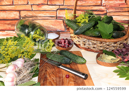 The process of cooking pickles in Russia at home. Cucumbers, dill, garlic, mountain ash on the home table, preservation of vegetables for the winter. 124559599