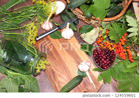 The process of cooking pickles in Russia at home, top view, copy space, flat lay. Cucumbers, dill, garlic, mountain ash on the home table, preservation of vegetables for the winter. The process of cooking pickles in Russia at home, top view, copy space, flat lay. Cucumbers, dill, garlic, mountain ash on the home table, preservation of vegetables for the winter. 124559601