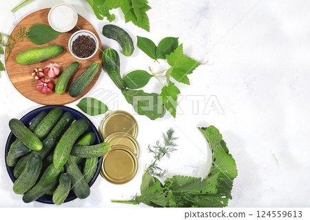 Cucumbers and ingredients for pickling them, the concept of home canning, healthy and natural nutrition. Cucumbers, dill, garlic, currant leaves, cherries, horseradish, oak and basil, rustic pickling Cucumbers and ingredients for pickling them, the concept of home canning, healthy and natural nutrition. Cucumbers, dill, garlic, currant leaves, cherries, horseradish, oak and basil, rustic pickling 124559613