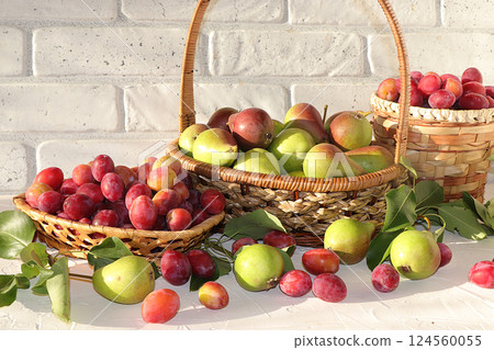 Pear and plum in the autumn sunny garden in baskets on a wooden background, copy space, Harvesting at the cottage in the village, the beauty and gifts of nature, natural diet food, selective focus Pear and plum in the autumn sunny garden in baskets on a wooden background, copy space, Harvesting at the cottage in the village, the beauty and gifts of nature, natural diet food, selective focus 124560055