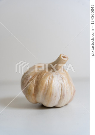 Bulb, head of garlic isolated on white background with shadow 124560843