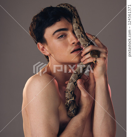 Model skin snake, face of man and grey studio background with health beauty, skincare and makeup. Cosmetics serpent guy, edgy creative and facial wellness cosmetic in artistic portrait with python 124561371