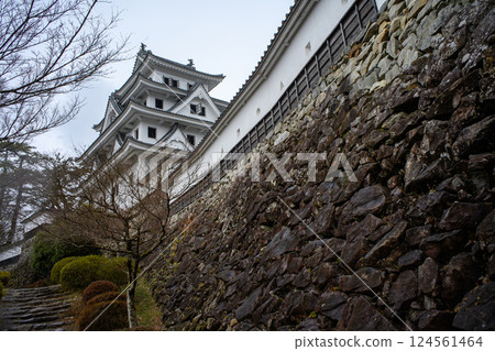 Gujo Hachiman Castle 124561464