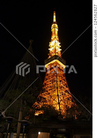 250130‗Tokyo Tower 035 124562827