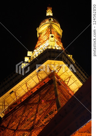 250130‗Tokyo Tower 057 124562850