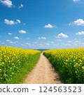 油菜花路 124563523