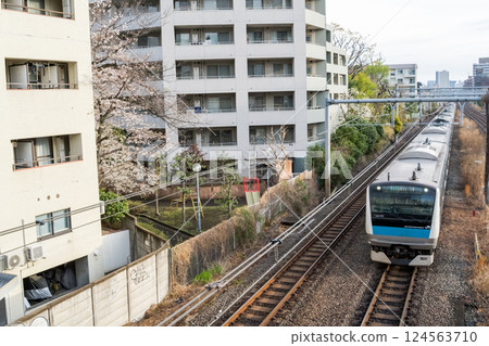 【京濱東北線】初春清晨,一輛平穩行駛在街上的普通列車 【京濱東北線】初春清晨,一輛平穩行駛在街上的普通列車 124563710