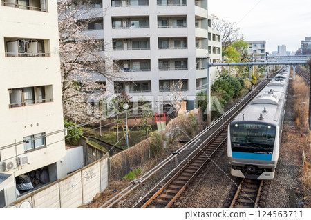 【京濱東北線】初春清晨,一輛平穩行駛在街上的普通列車 【京濱東北線】初春清晨,一輛平穩行駛在街上的普通列車 124563711