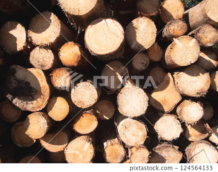 logs close background and texture abstraction logs close background and texture abstraction 124564133