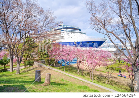 Luxury Cruise Ship Spring Luxury Cruise Ship Spring 124564284
