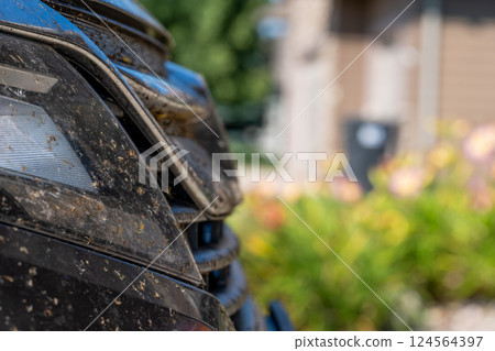 Squished and smeared dead bugs on the front grill of a vehicle.  124564397