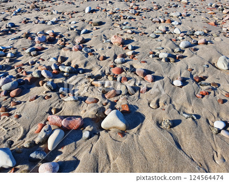 Close up detailed shot of colorful pebbles and white sand on Baltic Sea shore beach at sunny day. No people unique texture and pattern of seashore surface, natural background. Close up detailed shot of colorful pebbles and white sand on Baltic Sea shore beach at sunny day. No people unique texture and pattern of seashore surface, natural background. 124564474
